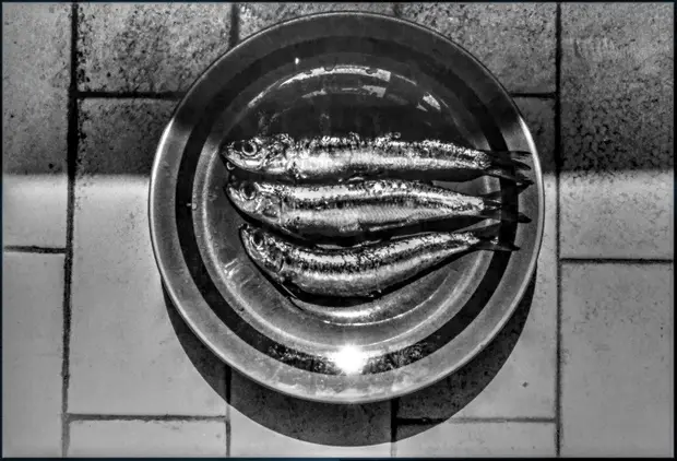 Sardines et assiette