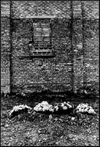 Mur et Fleurs Tombe
