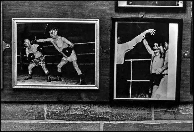 Photos Boxers