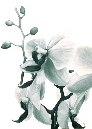 Mother Nature Flowers