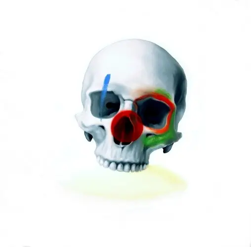 Skull Clown I