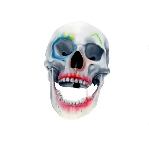Skull Clown II