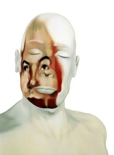 Face FS20